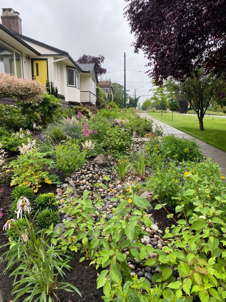 Do Rain Gardens Actually Work? Why They're Changing Vancouver Para Space