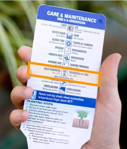 Plant tag with hardiness zone 
